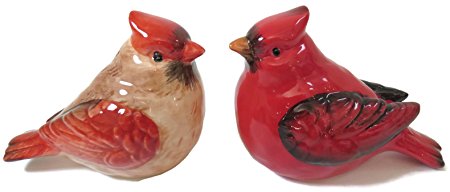 Cardinal Male and Female Salt and Pepper Shaker Set