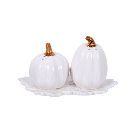 Elegant White Pumpkins Gourds on Leaf Tray Salt and Pepper Shaker Set Ceramic