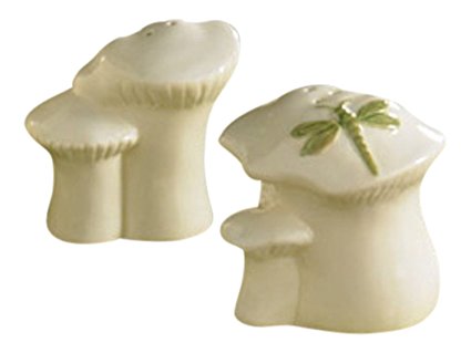 Enchanted Forest Dragonfly Salt and Pepper Shaker Set S/P Park Designs