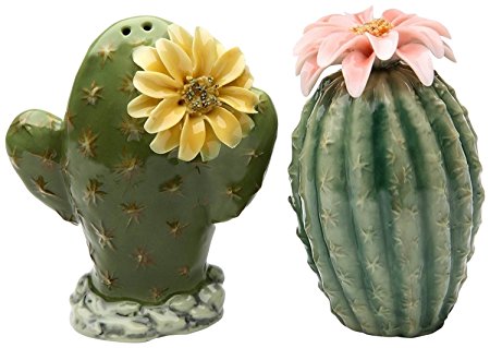 Cactus Salt & Pepper Shaker